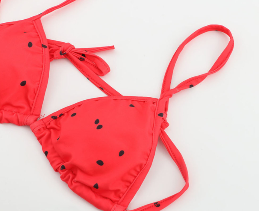 Conjunto de Bikini de Dos Piezas con Estampado de Sandía