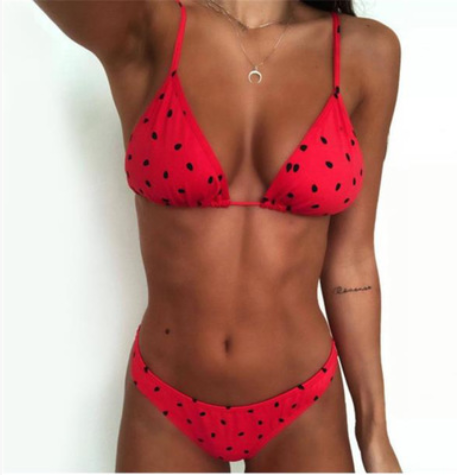Conjunto de Bikini de Dos Piezas con Estampado de Sandía